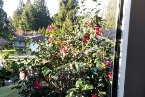 20150305_164500_resized