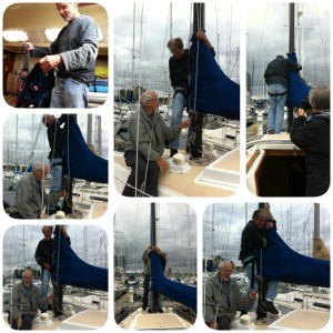 PhotoGrid_1444493773756[1]