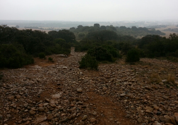 2015-10-19 20.52.10.png image