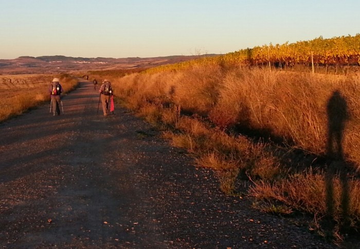 2015-10-24 08.07.50.png image