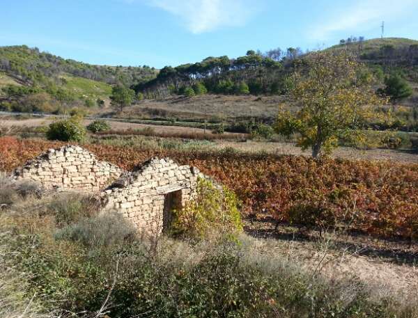 2015-10-24 08.11.28.png image