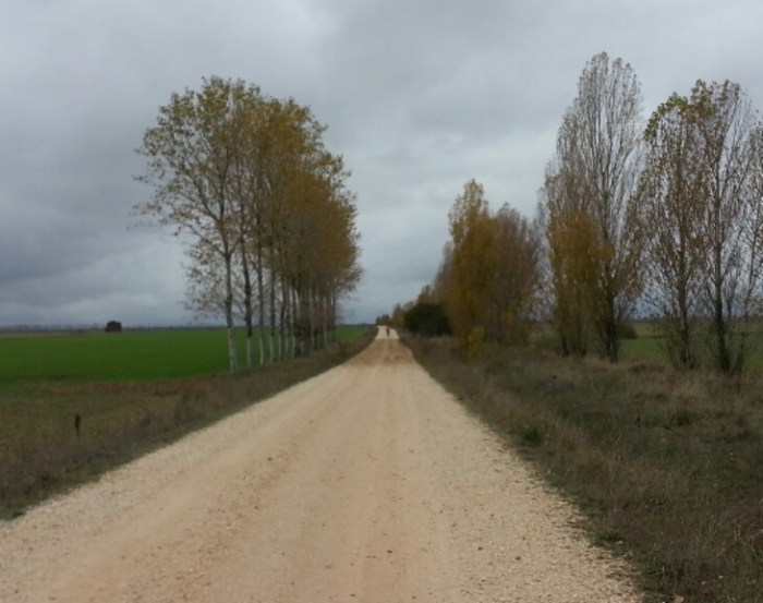 2015-11-06 21.52.18.png image