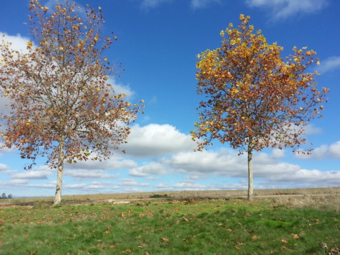 20151107_132837.jpg image