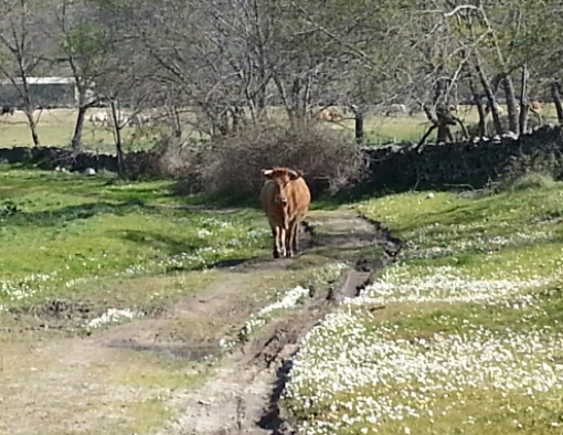 2016-03-13 22.23.53.png image