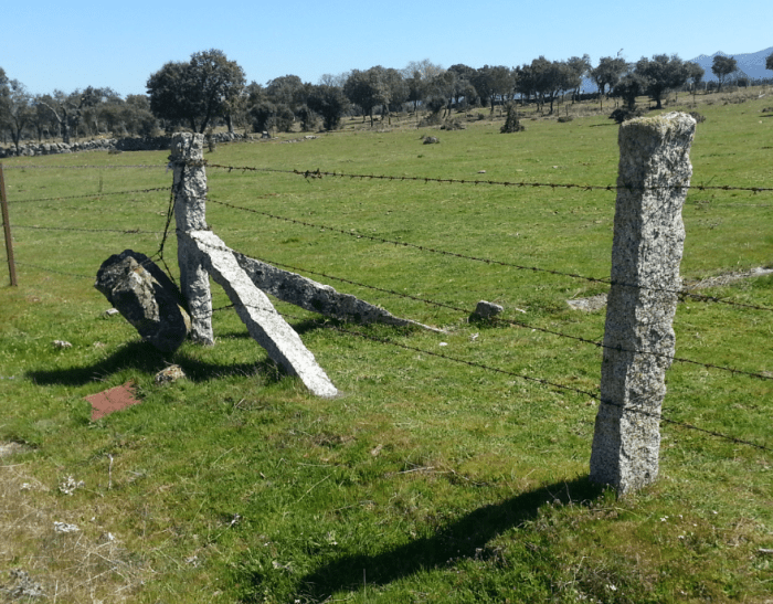 2017-04-10 08.57.35.png